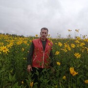 ���������� ������, ���� ������� ��������, 60 ���, ������������ ��� ������, ����� � ���������, c�������� ���������