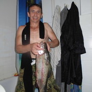  ,   Sascha, 54 ,  