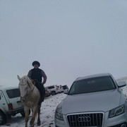 � �������