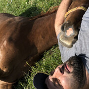 ���������� ���������, ���� ������� �����, 40 ���, ������������ ��� ������, ����� � ���������, c�������� ���������, ���������