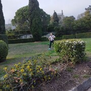 ���������� ����, ���� ������� ������, 36 ���, ������������ ��� ������, ����� � ���������, c�������� ���������, ���������