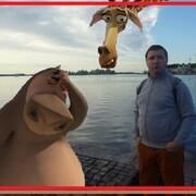  -,   All, 44 ,   ,   , c 
