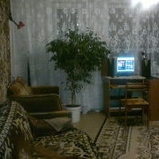 ���������� ��������, ���� ������� ����, 41 ���, ������������ ��� ������, ����� � ���������, c�������� ���������