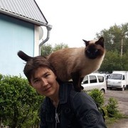 ���������� ������, ���� ������� ���, 33 ����, ������������ ��� ������, ����� � ���������, c�������� ���������