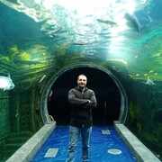 ���������� ������, ���� ������� �����, 36 ���, ������������ ��� ����� � ���������, c�������� ���������, ���������