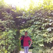  ,   , 43 ,   ,   , 