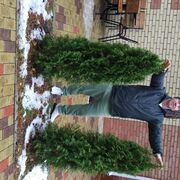 ���������� ����, ���� ������� ���������, 42 ����, ������������ ��� ������, ����� � ���������, c�������� ���������, ���������