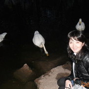 ���������� ���������, ���� ������� �����, 38 ���, ������������ ��� ������, ����� � ���������, c�������� ���������