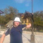 ���������� �����, ������� ������, 38