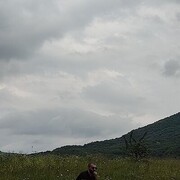 ,   , 34 ,   ,   