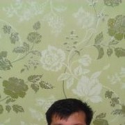 ���������� �������, ���� ������� ������, 50 ���, ������������ ��� ������