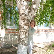  ,   Flower, 48 ,     , c 