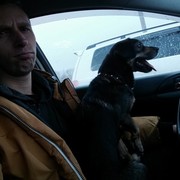 ���������� �������������-����������, ���� ������� ���� ���, 32 ����, ������������ ��� ������, ����� � ���������, c�������� ���������