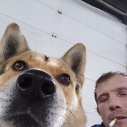 ���������� ������, ���� ������� ������, 43 ����, ������������ ��� ������, ����� � ���������