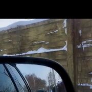 ���������� ������, ���� ������� ���, 37 ���, ������������ 