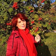  -,   , 54 ,   c 