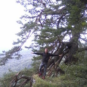 ���������� ������, ���� ������� Chernik, 43 ����, ������������ ��� ������