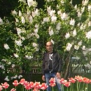 ���������� ������, ���� ������� Pargev, 59 ���, ������������ ��� ������, ����� � ���������, c�������� ���������