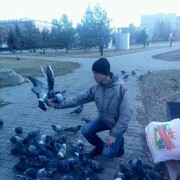 ���������� ����, ���� ������� ��������, 48 ���, ������������ ��� c�������� ���������