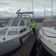 ���������� ������, ���� ������� �����, 38 ���, ������������ ��� ������, ����� � ���������, c�������� ���������, ���������