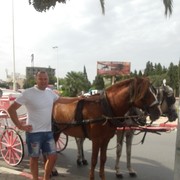 ���������� �����-���������, ���� ������� ������, 44 ����, ������������ ��� ������, ����� � ���������, c�������� ���������