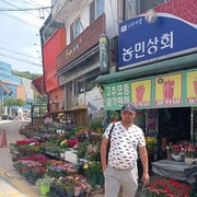  Ch'ongju,   Odil, 37 ,   ,   