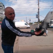  ,   , 38 ,     , c 