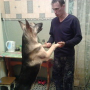 ���������� ������, ���� ������� ������, 44 ����, ������������ ��� ������, ����� � ���������, c�������� ���������