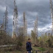 ���������� ������, ���� ����� ��������, 24 ����, ������������ ��� ������, ����� � ���������, c�������� ���������