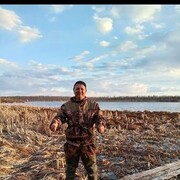 ���������� ������, ���� ������� ����, 41 ���, ������������ ��� ������, ���������