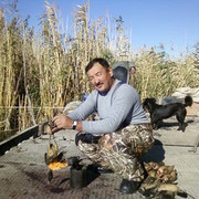 ���������� ������, ���� ������� ������, 67 ���, ������������ ��� ������