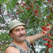  ,   Aleksandr, 63 ,   ,   