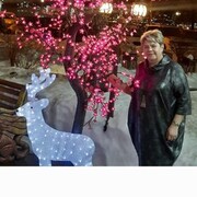  ,   , 55 ,     , c , 