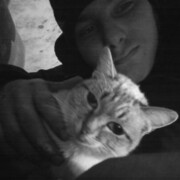 ���������� �����������, ���� ����� ������, 19 ���, ������������ ��� c�������� ���������