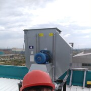 ���������� ����������, ���� ������� �������, 44 ����, ������������ ��� ������, ����� � ���������, c�������� ���������