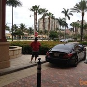  ,   GURAMI, 58 ,   