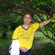  --,   , 49 ,   ,   
