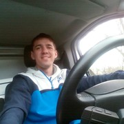 ���������� ����, ���� ������� KOTIK, 33 ����, ������������ ��� ������, ����� � ���������, c�������� ���������