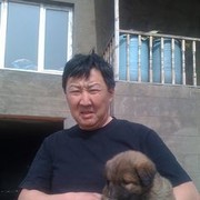  Ulaanbaatar,   Gena, 61 ,   ,   , c 
