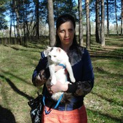 ���������� ���������� �����, ���� ������� ������, 39 ���, ������������ ��� ������, ����� � ���������, c�������� ���������