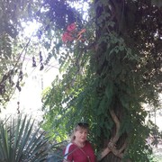  --,   , 63 ,   ,   , c 