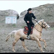 ���������� ������, ���� ������� ���, 29 ���, ������������ ��� ������, ����� � ���������