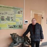 ���������� �����������, ���� ������� �������, 60 ���, ������������ ��� c�������� ���������