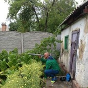  ,   , 53 ,   ,   , c 