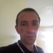  ,   , 41 ,   ,   