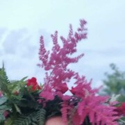 ������ ���!