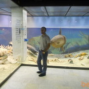  ,   Valihan, 50 ,   