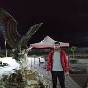 ���������� �������, ���� ������� Alim, 33 ����, ������������ ��� ������, ����� � ���������, c�������� ���������