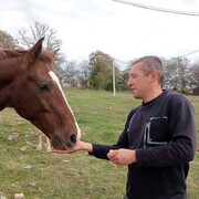 ���������� ������-��-����, ���� ������� ���, 42 ����, ������������ ��� ������, ����� � ���������, c�������� ���������