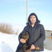 ���������� ������, ���� ������� Zokir, 39 ���, ������������ ��� ������, ����� � ���������, c�������� ���������, ���������